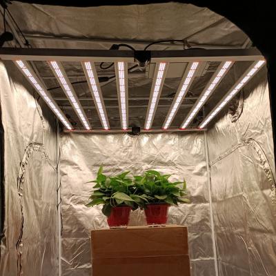 China FLOWER 600W 800W 1000W Yastar LM301H Hydroponic Lighting Greenhouse Growing Light for sale