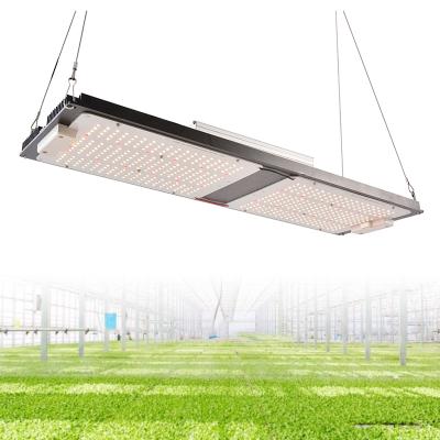 China FLOWER Yastar LM 301h led in grow lights 240W hydroponics cob led to grow light 2021 for sale