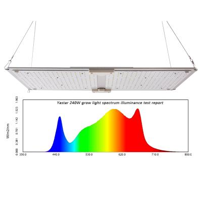 China Seed Starting Yastar Newest 2021 LM301H Indoor Plants Grow Best UV Light Spectrum Grow Light for sale