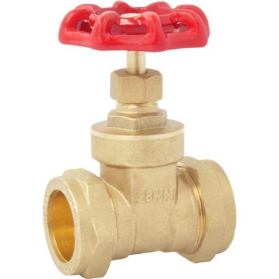 China 22mm 15mm Gate Valve For Compressed Air for sale