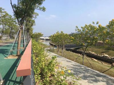 중국 stable Prefabricated Steel Frame pedestrian Truss Bridge Construction for stream 판매용