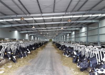 Chine Structure commerciale durable de hangar d'acier, bâtiment agricole galvanisé en métal à vendre