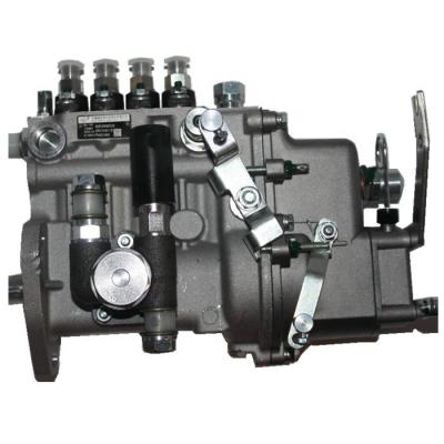 China Construction machinery engine KD488 engine XI weifu fuel injection pump 4PL1170 1001040215 for sale