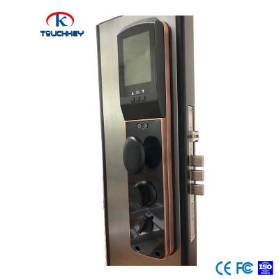 China Biometic Viewer Fingerprint Face Capture Door Lock Face Lock Face Code Viewer Fingerprint Password Password Code Biometic Door Lock for sale