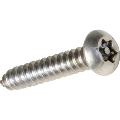 China Pan Stainless Steel Torx Pin Knob Self Tapping Security Screw for sale