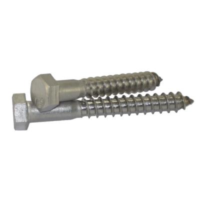 China HEX 18/8 Stainless Steel Lag Screws for sale