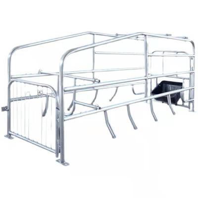 China Farms Pig Farm Equipment Cage Location Bar For Pregnant Sow Gestation Stall for sale