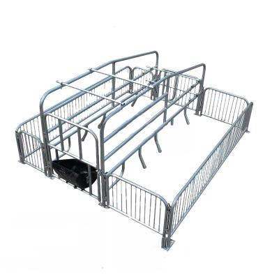 China Pig Pregnant Sale Made In China Hot Dip Galvanized Pig Cage Hog Limit Bar Pig Cages for sale