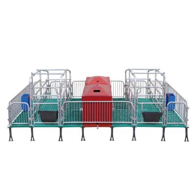 China Farms Hot Galvanized Pig Gestation Crate Stall Pen Sow Stall for sale