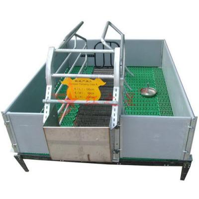 China Animal Husbandry Farm Equipment With Factory Price High Selling Pig Gestation Stall for sale