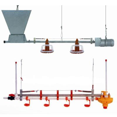 China Commercial Chicken Poultry Broiler Feeding Feeding Line Feeding System for sale