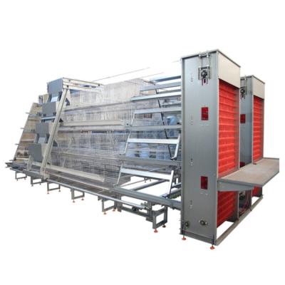 China Poultry Field Large Stage Type Three-Layer Chicken Cage Breeding Farm And Four-Layer Chicken Breeding Equipment Hot Dip Galvanized Chicken Cage for sale