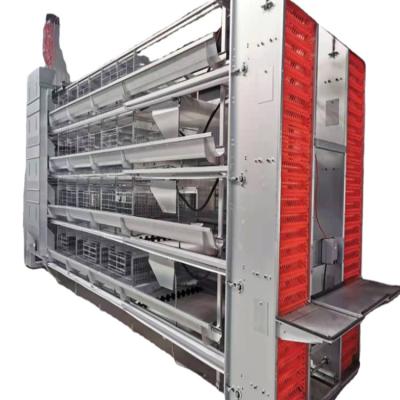 China Full automatic high quality H type chicken cages egg layer quail cages for sale chicken layer cage for sale