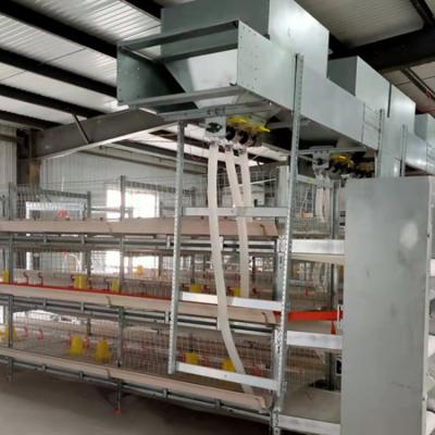 China Poultry field factory supply one type battery cage for poultry layers/automatic chicken laying egg cages/brooder chicken cage for sale