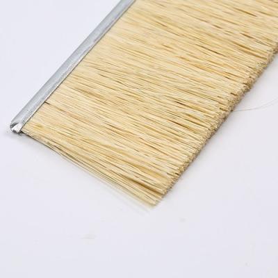 Cina Sander Machine Sisal Fiber Strip spazzola 2.0mm per l'insabbiamento e polacco in vendita