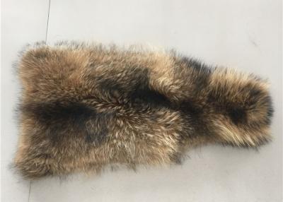 中国 自然な色のアライグマの毛皮つばの未加工皮衣服/家の織物のための等級70 - 105cm 販売のため