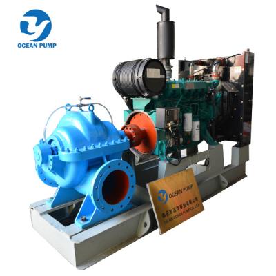 China Water Conveying Or Axially Pressurizing Split Case Water Pump For Sale for sale