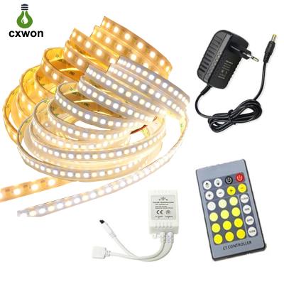 China Hotel Strip Light 12V 5050 60LEDs/M Dual White LED White Strip Light Kit with Controller Adapter for sale