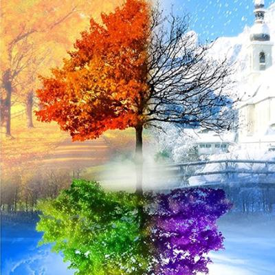 China DIY Landscape Painting Rhinestone Painting Landscape Mosaic Diamond Embroidery Tree 5D Diamond Painting for sale