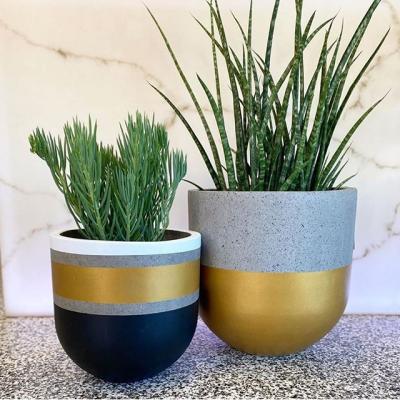 China Large Gold Flower Planter Wholesale Price Cement Succulent Pot Single Light Garden Plant Large For Outdoor for sale