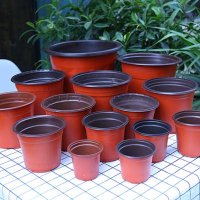 China Double Color Eco-friendly Plastic Grow Box Autumn Seedling Tray Garden Jardineria Plant Nursery Heavy Duty Flower Seedling Pots For Home for sale