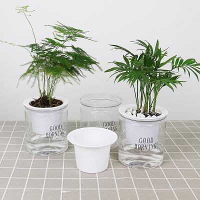 China Plant Eco-friendly Clear Plastic Home Hydroponic Flowerpot Hydroponics Pot Garden Flower Desktop Planter for sale