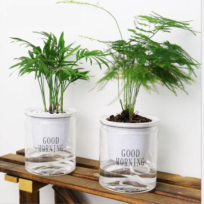 China Eco-Friendly Indoor Office Round Hydroponic Clear Transparent Succulents Bunga Planter Self Watering Bulk Flower Plant Plastic Pots for sale