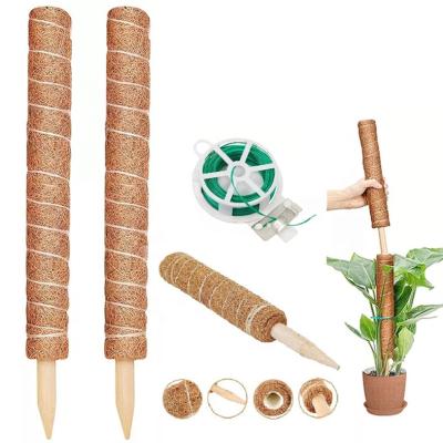 China Stackable Climbing Plant Support Stick Holder Coir Indoor Gardening Plant 12 Inch 16 Inch 19 Inch Moss Pole Garden Plant 30/40/50/60/70/80/90/100 /120/150/180CM for sale