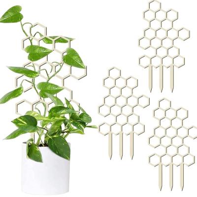 China Small Honeycomb Garden Plant Potted Trellis Plant Stand Indoor Wooden Trellis Plant Trellis Moon Form 19x10cm for sale