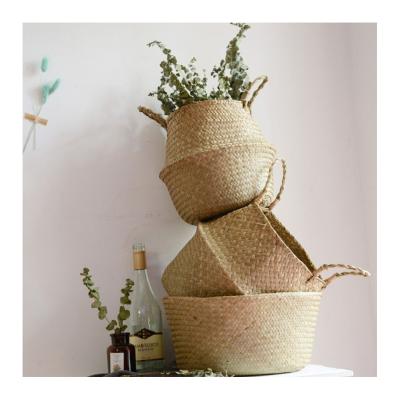 China Green Plant Pot American Style Basket Plant Hanging Baskets Wholesale Baskets For Plants for sale