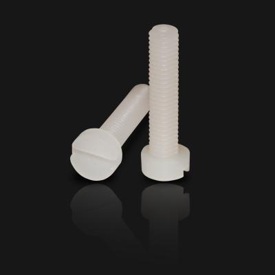 China Chinese Factory Supply PVDF Plastic Screw Slotted Cheese Head PVDF Screws for sale