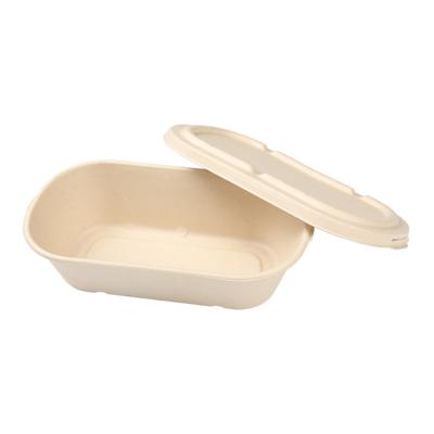 China Bagasse Biodegradable Wholesale Biodegradable Section Disposable Dinner Food Dishes With Lid for sale