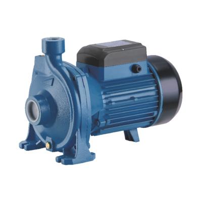 China Domestic Water Pump High Flow High Flow Electric Centrifugal Pumps for sale