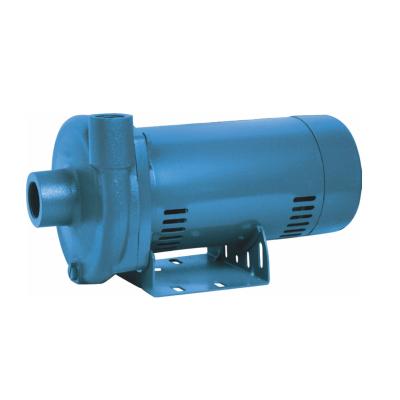 China Commercial Building Centrifugal Water Pumps for USA Market for sale