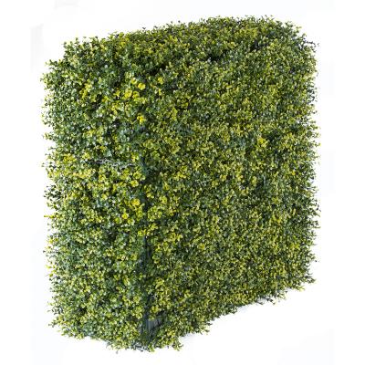 China Hot Popular Dual Use Plastic Boxwood Artificial Hedge Amazon Green Panels Wall for sale