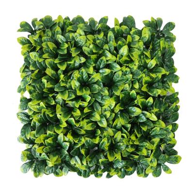 China PE Wholesale Plants Decorative Green Artificial Vertical Wall Boxwood Hedge For Green Exterior Wall for sale