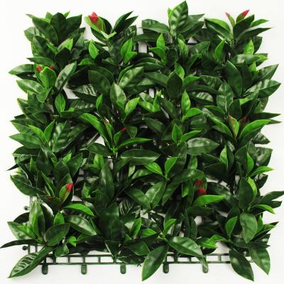 China Easily Gathered Artificial Green Wall Plant Plastic Grass Made Green Wall For Outdoor Fireproof Boxwood Hedge for sale