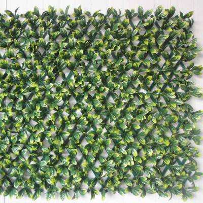 China Easily Assembled Artificial Wall Decoration PVC Lattice Sheet Fence Boxwood For Hotel for sale