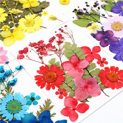 China Nail Art Decoration Flower Package Wholesale DIY Dried Flower Dried Leaves Natural Dried Flowers for sale