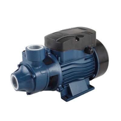 China Buildings QB60 China 0.5HP 220V Small Commercial Vortex Water Pump for sale