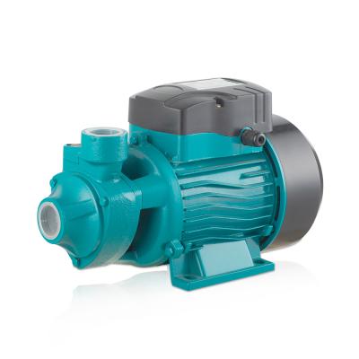 China Mini Electric 220V 0.37kw 0.55kw 0.75kw QB60 Commercial High Pressure Buildings Mission Magnum Micro Vortex Water Pump for sale