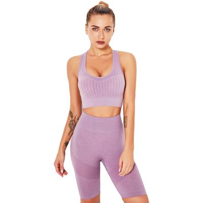 China Factory Price Manufacturer Supplier Custom Women Breathable Fitness Sports Bra And Shorts Set For Yoga Gym for sale