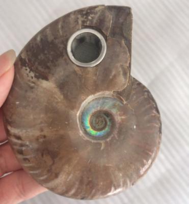 China China Natural Beautiful Conch Tobacco Pipe Ammonite Fossil Crystal Smoking Pipe For Gifts for sale