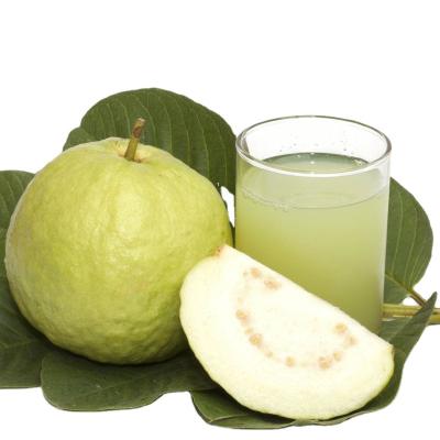 China Normal Fruit Juice Concentrate 275kg/bag Brix (%) juice from concentrate of 65 guavas for sale