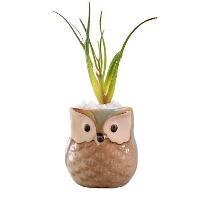 China Europe Hot Selling Ceramic Flower Pot Mini Cartoon High Quality Home Decorative Owl Shaped Planter for sale