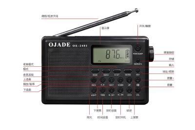 China OE-2401 Digital Radio Portable Bluetooth Radio for sale