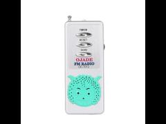 China origin portable radio factory private mold