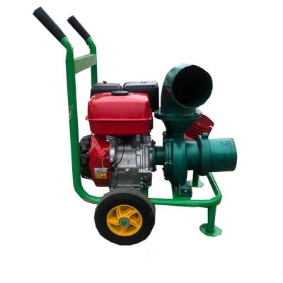 China Commercial Buildings Manufacturer Production 20hp Cheap Diesel Water Pump 2022 Gasoline Engine For Garden Irrigation for sale