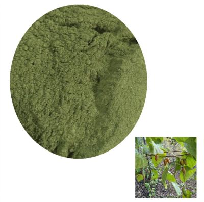 China Stocked 100% Organic Dry Actinidia Polygama Leaf Powder Matatabi Silvervine Leaves Powder for Cat and Pet for sale