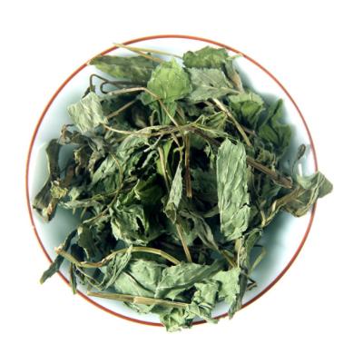 China Natural Dried Leaf Dried Spearmint Blooming Peppermint Tea Spearmint Leaves Mentha piperita leaf for sale